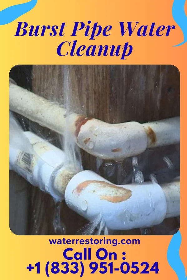 Burst Pipe Water Cleanup in Shawneeland, VA