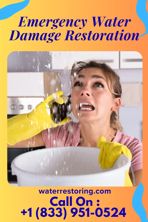 Emergency Water Damage Restoration in Shawneeland, VA