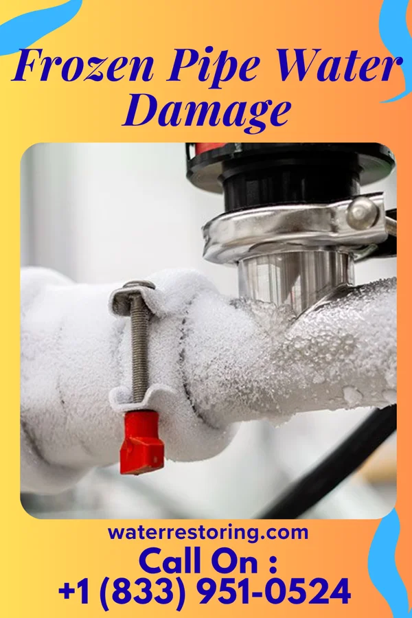 Frozen Pipe Water Damage in Shawneeland, VA