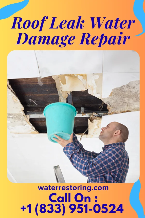 Roof Leak Water Damage Repair in Shawneeland, VA