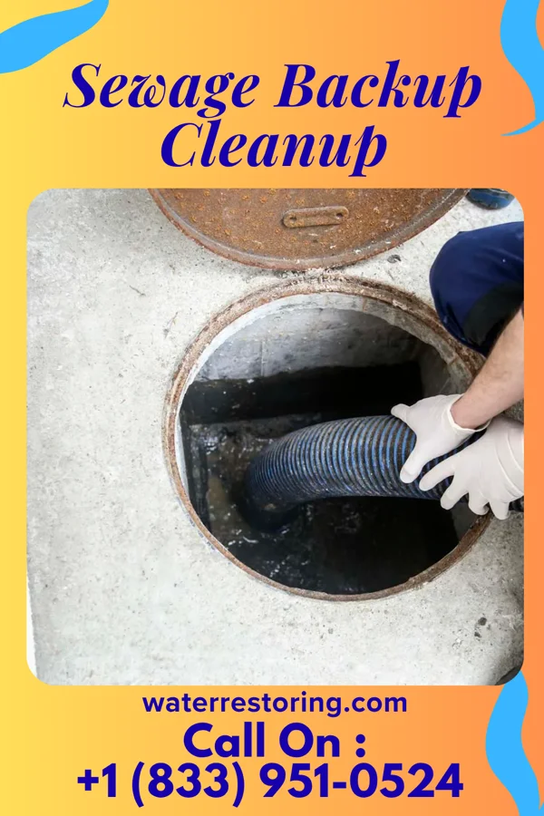 Sewage Backup Cleanup in Shawneeland, VA