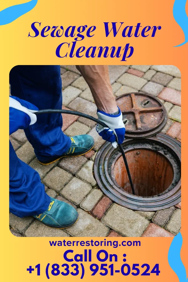 Sewage Water Cleanup in Shawneeland, VA