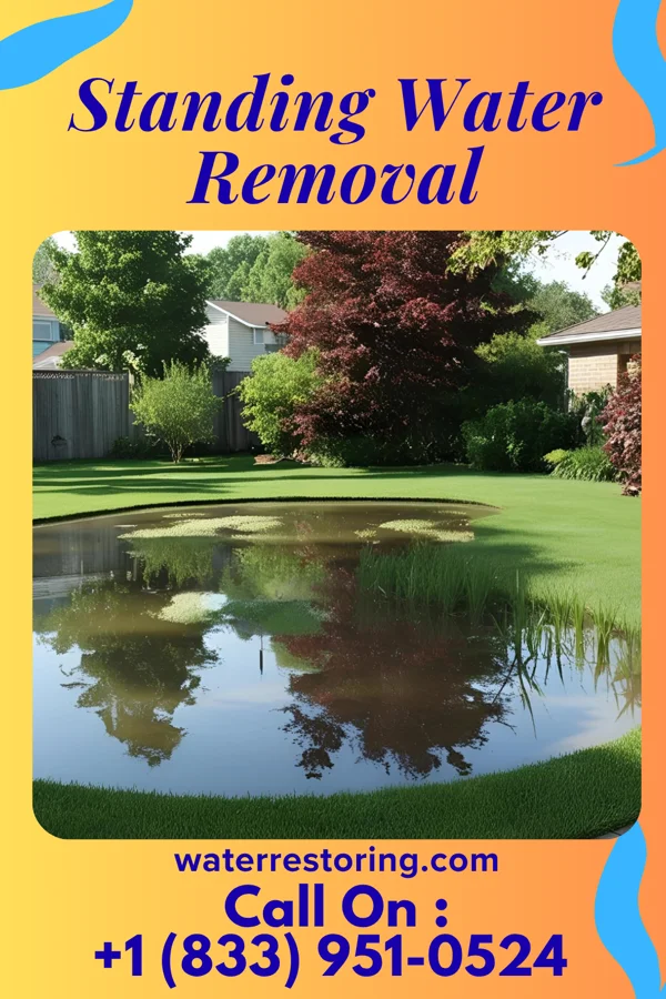Standing Water Removal in Shawneeland, VA
